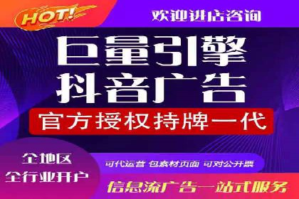 SEM投放策略：成功案例解析